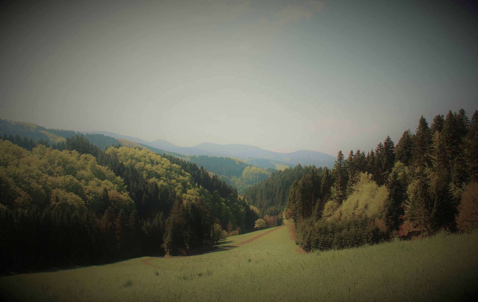 Blog schwarzwaldlieb