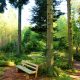 sitzbank-heidenstein-wanderung-oberharmersbach-beitragsbild