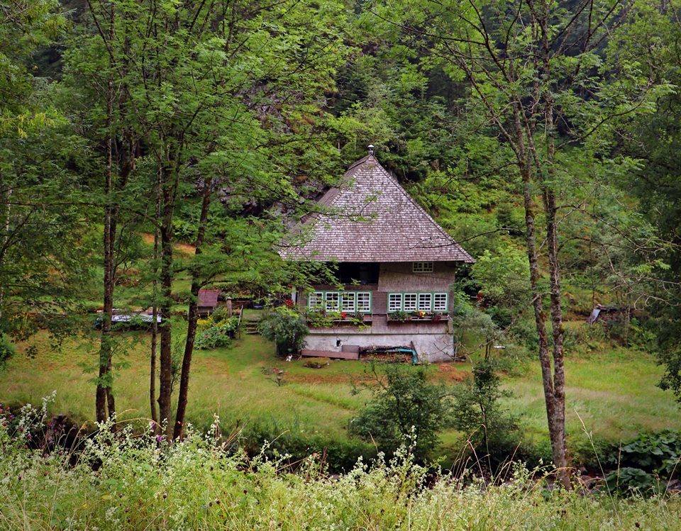 schwarzwald-regen-schwarzwaldhaus