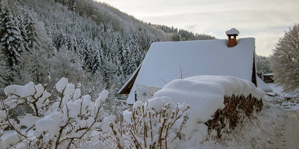 Winterlandschaft in Zuwald