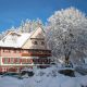 Gasthaus Zur Linde mit verschneitem Lindenbaum im Winter